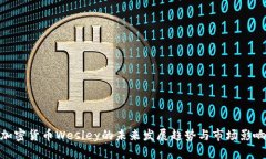 加密货币Wesley的未来发展